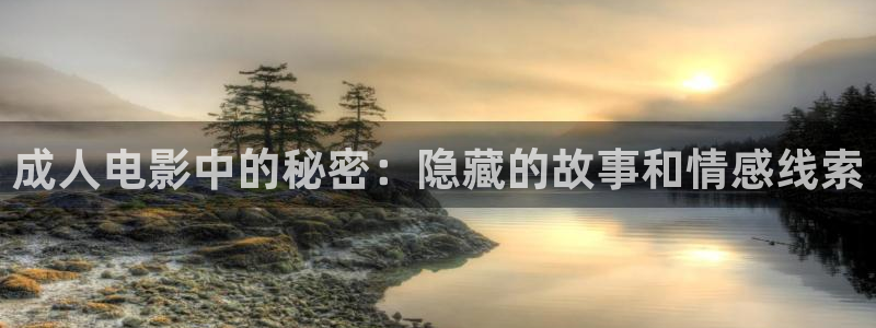 可可影视网页版官网：成人电影中的秘密：隐藏的故事和情感线索