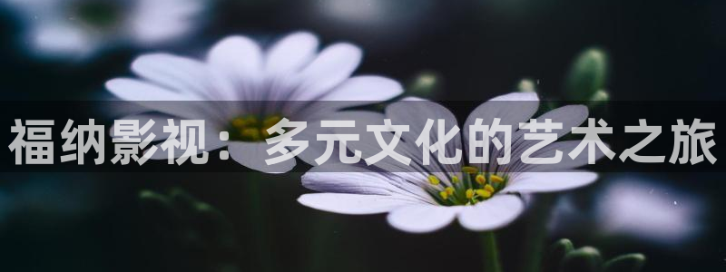 可可影视pc