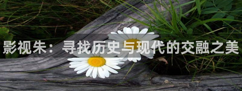 可可影视下载了