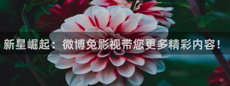 可可影视pc