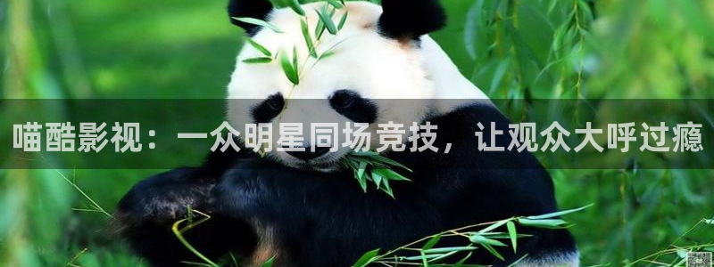 可可影视安卓下载：喵酷影视：一众明星同场竞技，让观众大呼过瘾