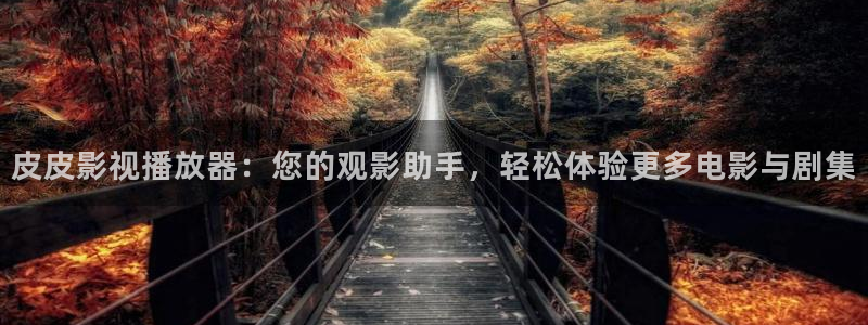 可可影视,：皮皮影视播放器：您的观影助手，轻松体验更多电影与剧集