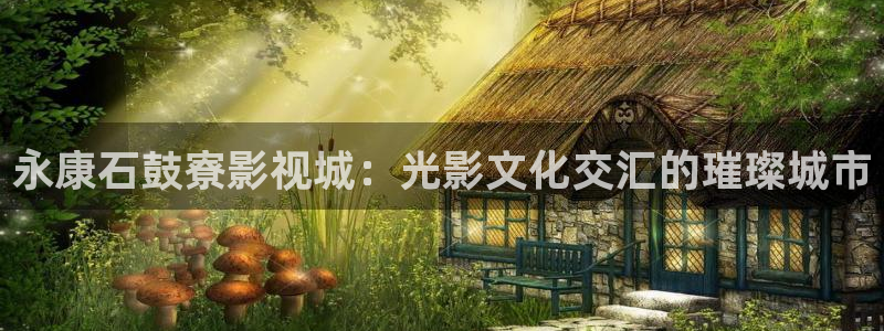 可可影视盒子版：永康石鼓寮影视城：光影文化交汇的璀璨城市