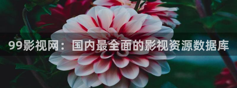 可可影视在线观看免费