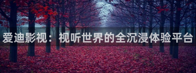 可可影视安装包