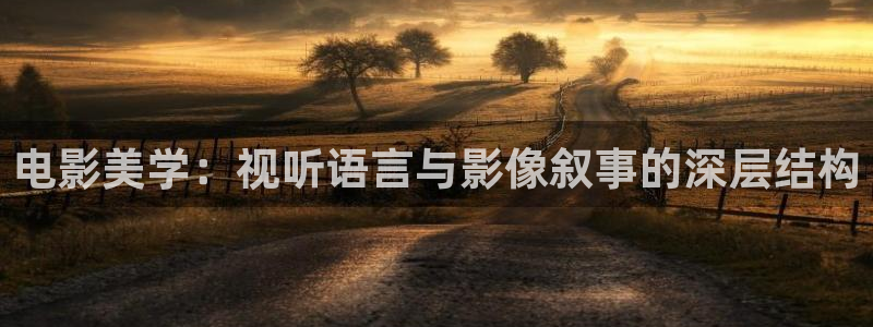 可可影视入口