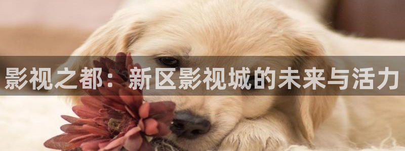 可可影视.中国