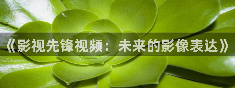 可可影视导航