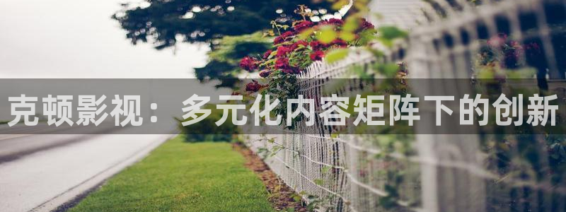 可可影视手机app