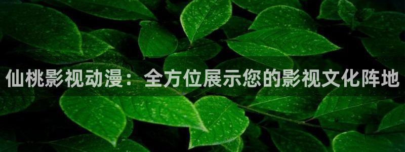 kekys可可影视下载