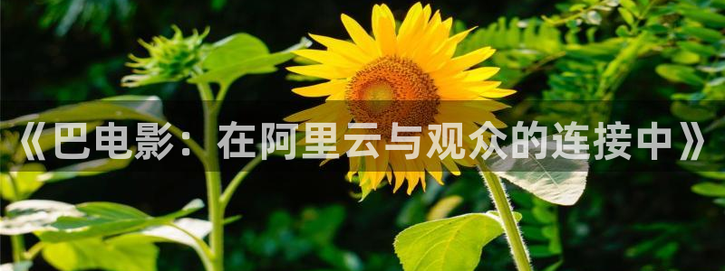 可可影视最新口令