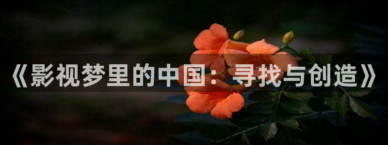 可可影视官网最新版本